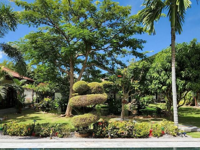 place photo 31
