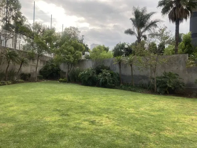 place photo 37