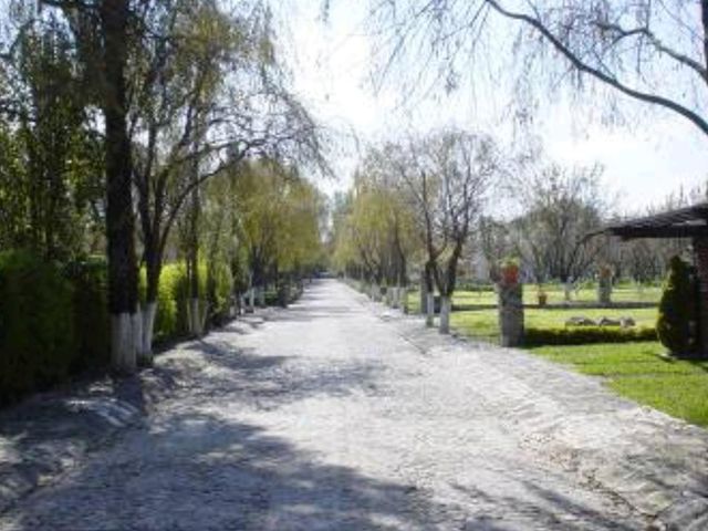 place photo 18