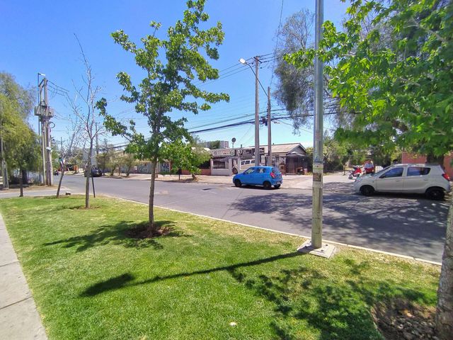 place photo 19