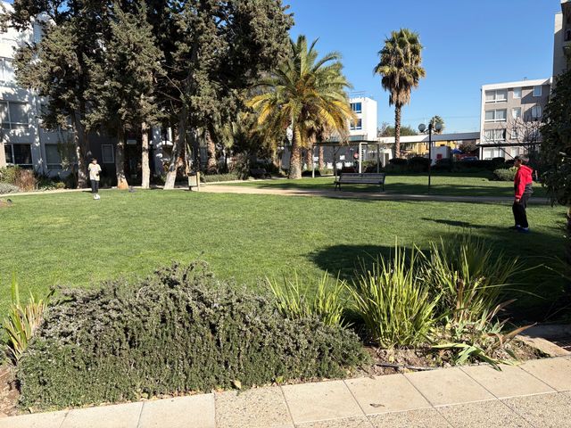 place photo 19