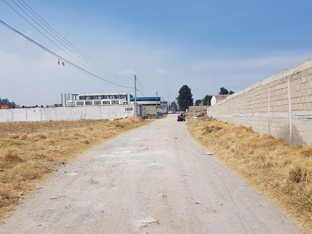 place photo 16