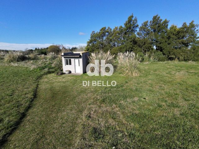 place photo 20