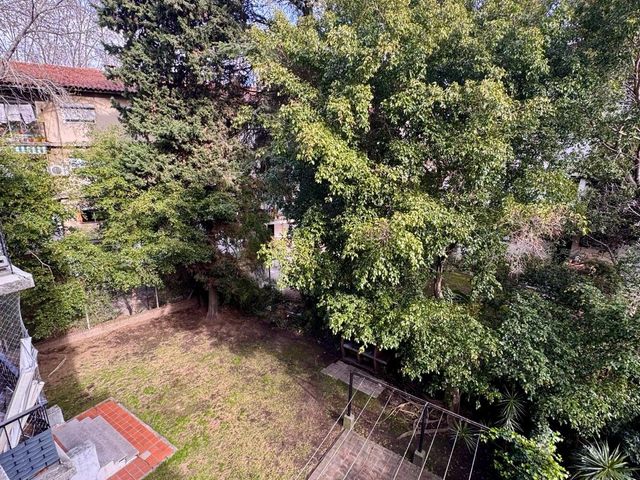place photo 67