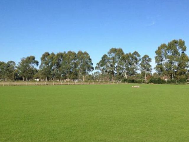 place photo 29