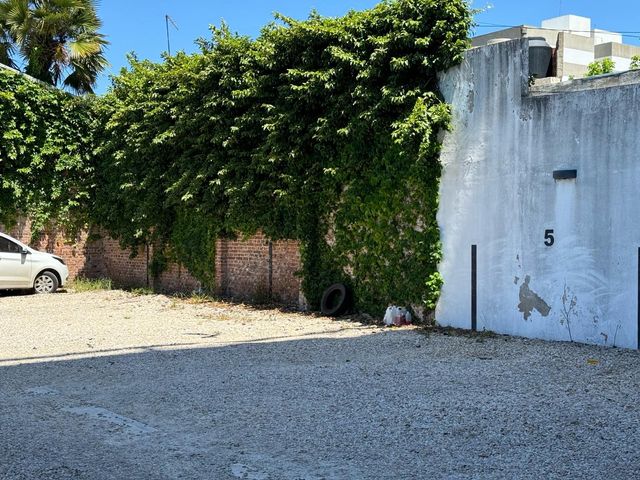 place photo 22