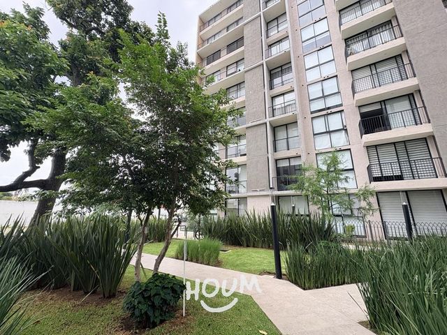 place photo 44