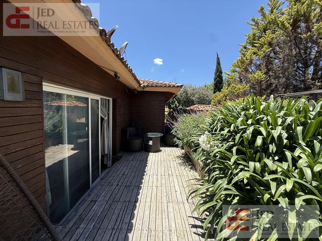 place photo 46