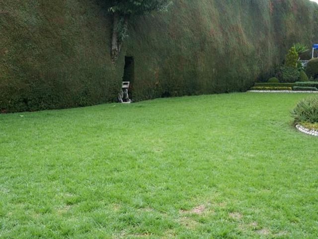 place photo 31