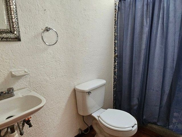 place photo 36