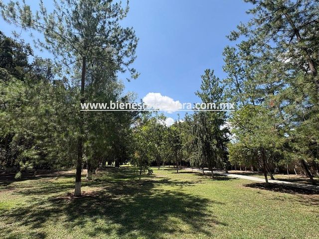 place photo 48