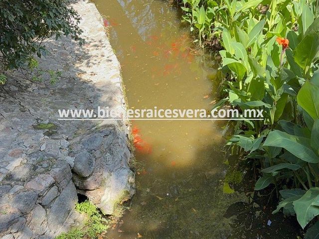 place photo 46