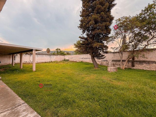 place photo 47