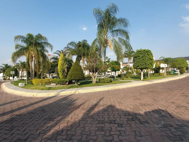 place photo 28