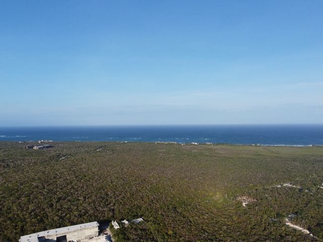 place photo 43