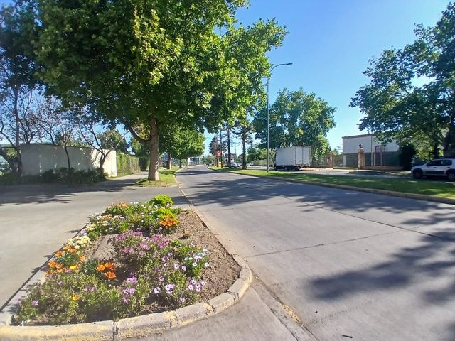 place photo 62