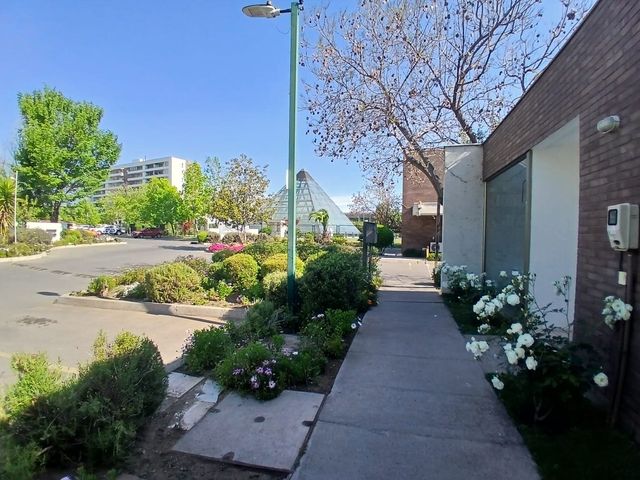 place photo 38