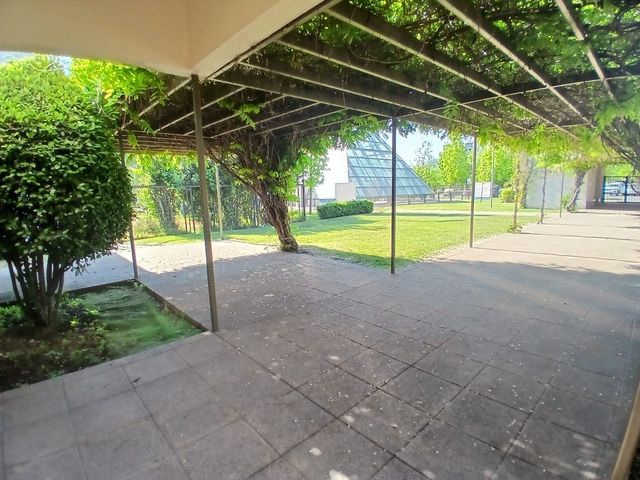 place photo 47