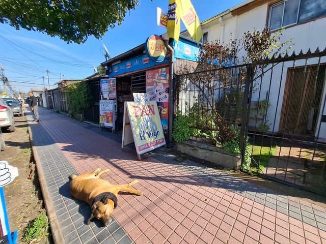 place photo 18