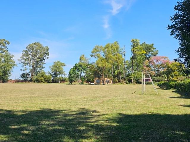 place photo 19