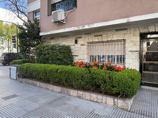 place photo 34