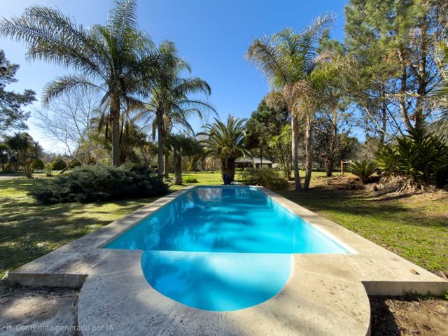 place photo 42