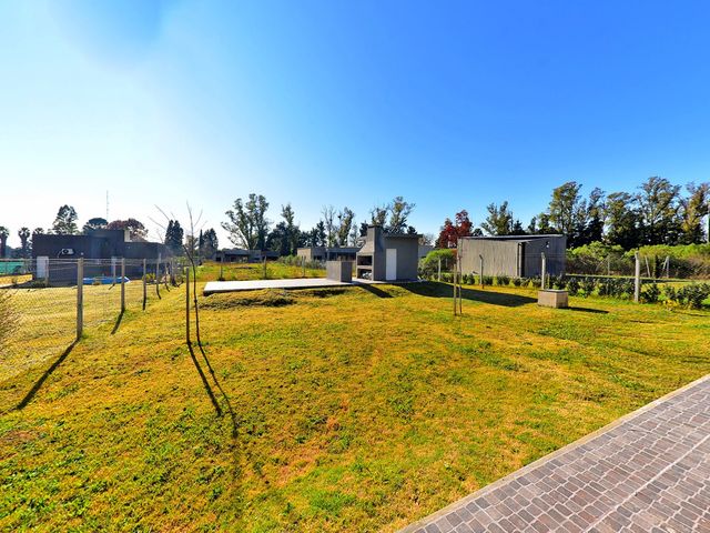 place photo 66