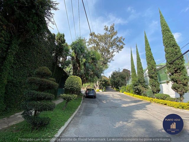 place photo 28