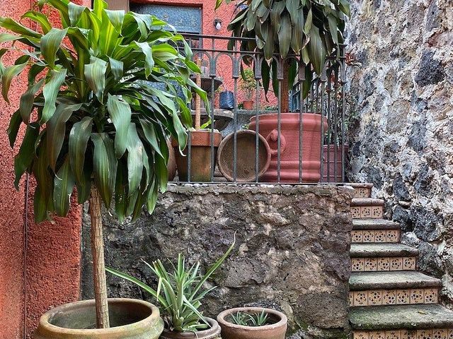 place photo 21