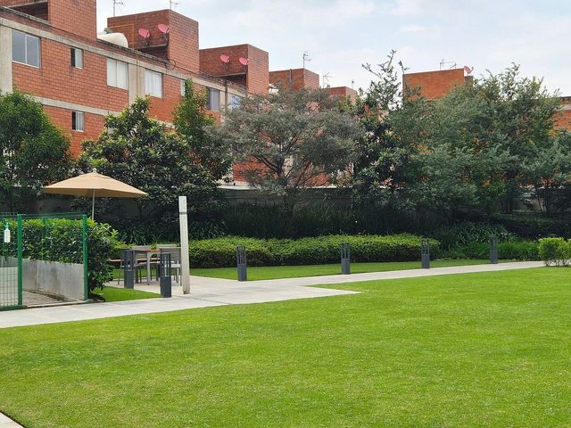 place photo 40