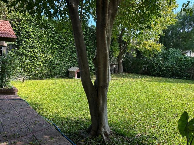 place photo 51
