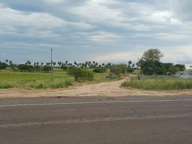 place photo 17
