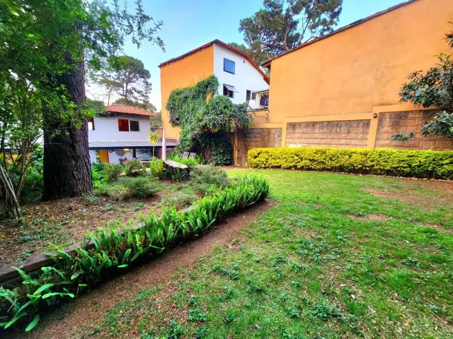 place photo 38