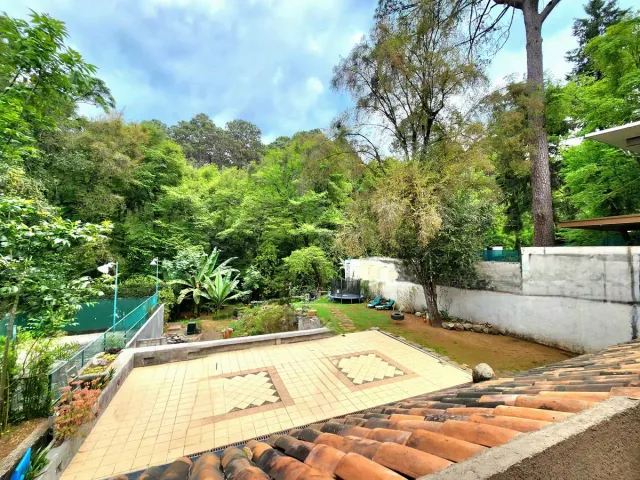 place photo 26