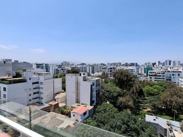 place photo 36