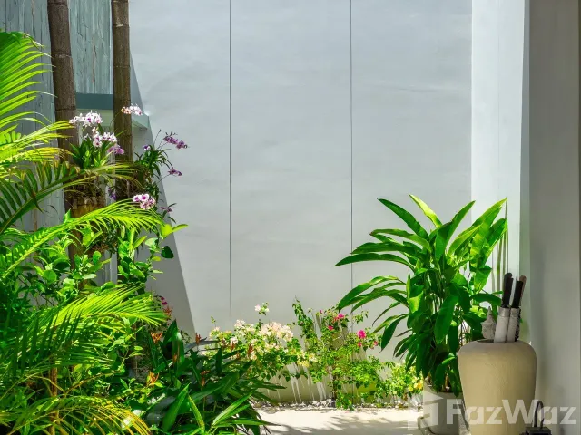place photo 38
