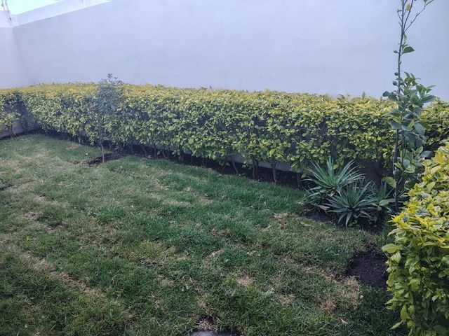 place photo 43