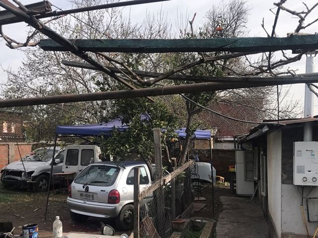 place photo 18