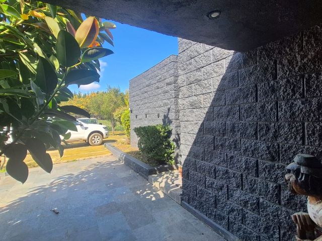 place photo 50