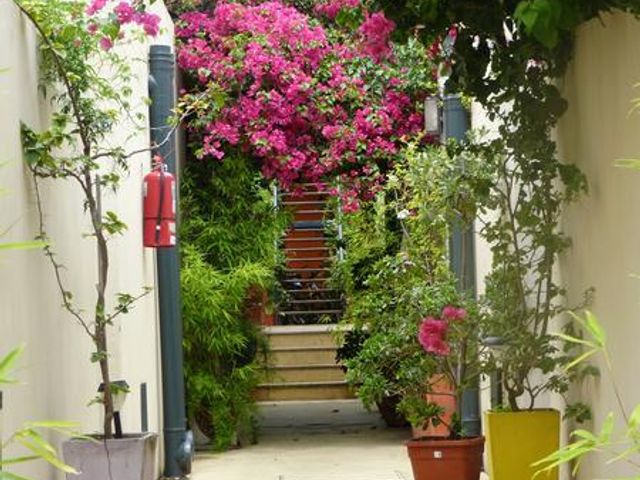 place photo 31