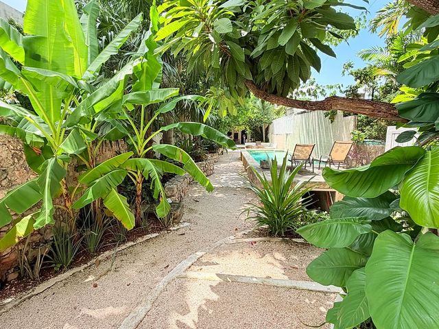 place photo 36