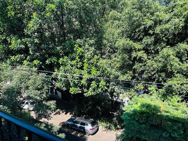 place photo 47