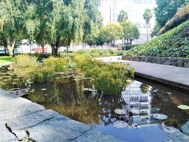 place photo 19