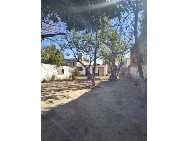 place photo 18