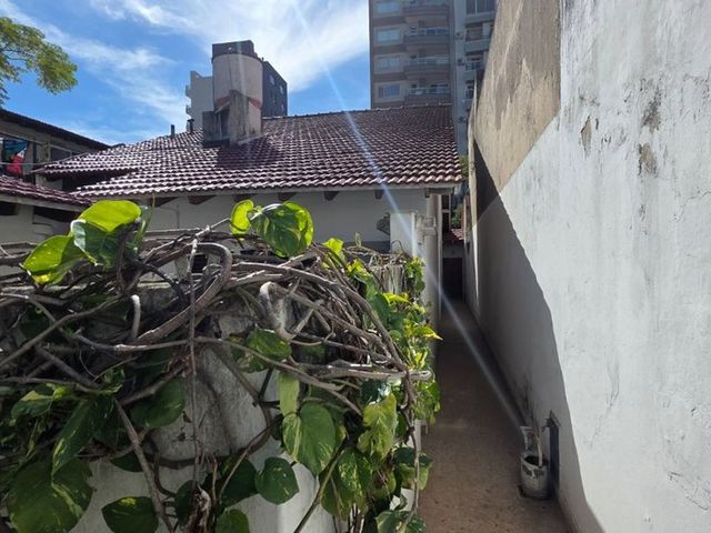 place photo 49