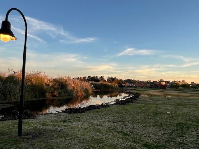 place photo 47