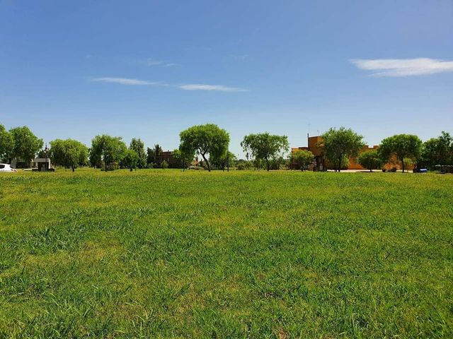 place photo 50
