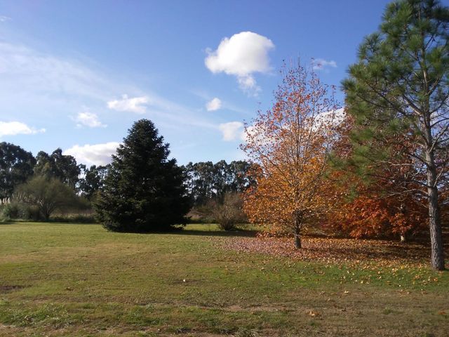 place photo 46