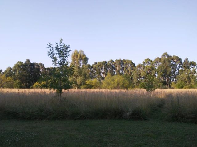 place photo 47