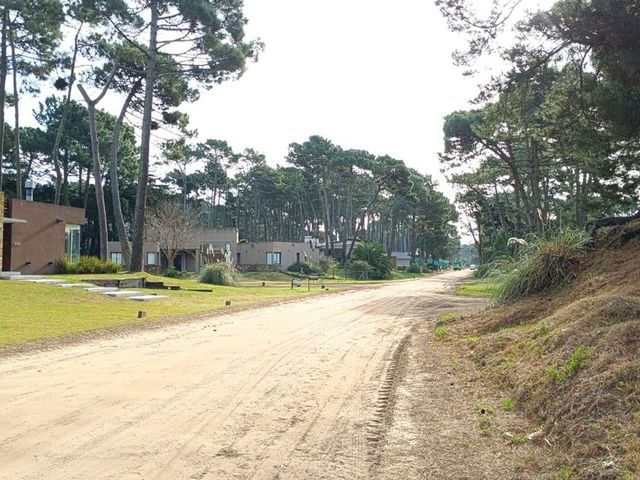 place photo 35